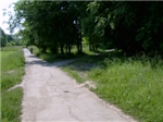 На аллее парка 
(2010 г.)