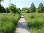 Ковыринский парк
 (2010 г.)