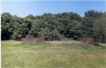 Парк летом  2007 г.